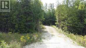 41 NOBLE DRIVE | Northern Bruce Peninsula Ontario | Slide Image Two