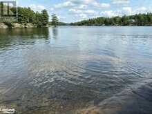 70547 SEVERN RIVER Shore | Coldwater Ontario | Slide Image Thirty-four