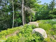 19 OLD HEMLOCK TRAIL | Huntsville Ontario | Slide Image Ten