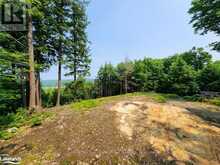 19 OLD HEMLOCK TRAIL | Huntsville Ontario | Slide Image Eleven