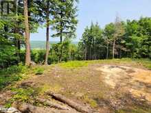 19 OLD HEMLOCK TRAIL | Huntsville Ontario | Slide Image Twelve