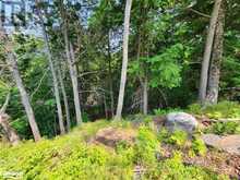 19 OLD HEMLOCK TRAIL | Huntsville Ontario | Slide Image Sixteen