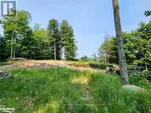 19 OLD HEMLOCK TRAIL | Huntsville Ontario | Slide Image Seven