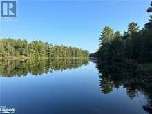 0 WINDERMERE Road | Muskoka Ontario | Slide Image Twenty-two