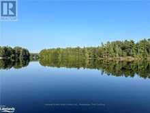 0 WINDERMERE ROAD | Muskoka Ontario | Slide Image Twenty-one