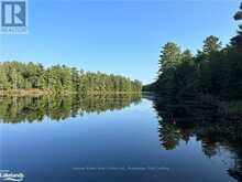 0 WINDERMERE ROAD | Muskoka Ontario | Slide Image Twenty-two