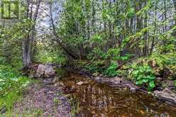 LOT 53 SPRY SHORE ROAD | Northern Bruce Peninsula Ontario | Slide Image Twenty-five