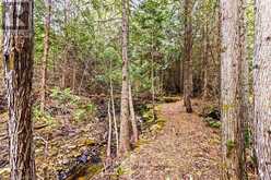 LOT 53 SPRY SHORE ROAD | Northern Bruce Peninsula Ontario | Slide Image Twenty-seven