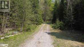 0 BETWEEN LAKES TRAIL | Minden Hills Ontario | Slide Image Eighteen