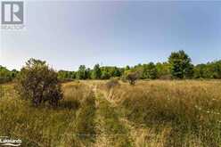 0 SUGAR BUSH ROAD | Coboconk Ontario | Slide Image Eleven