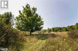 0 SUGAR BUSH ROAD | Coboconk Ontario | Slide Image Twelve