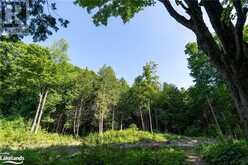 3 PRETTY RIVER Road | The Blue Mountains Ontario | Slide Image Twenty-five