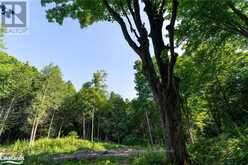 3 PRETTY RIVER ROAD | The Blue Mountains Ontario | Slide Image Twenty-six