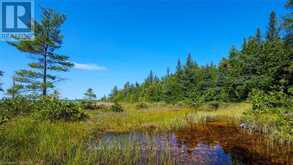 82 BRADLEY DRIVE | Northern Bruce Peninsula Ontario | Slide Image Eighteen