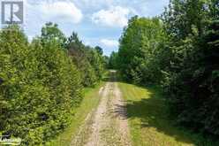 PART LOT 11-12 SIDEROAD 10 | Chatsworth Ontario | Slide Image Sixteen