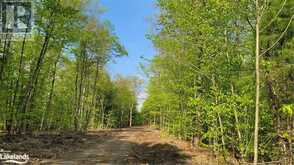 LOT2 SEGUIN RIVER ESTATES LOUISA Street | Parry Sound Ontario | Slide Image Fourteen