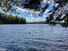 0 MINNOW Drive | Haliburton Ontario | Slide Image Three