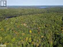 0 BUSHWOLF LAKE Road | Haliburton Ontario | Slide Image Twelve