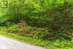 1024 TARPAPER Trail | Haliburton Ontario | Slide Image Nine