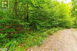 18.4 ACRES ADELINE Trail | Haliburton Ontario | Slide Image Eleven