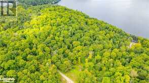 18.4 ACRES ADELINE Trail | Haliburton Ontario | Slide Image Fourteen