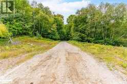 18.4 ACRES ADELINE Trail | Haliburton Ontario | Slide Image Four