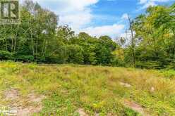 18.4 ACRES ADELINE Trail | Haliburton Ontario | Slide Image Five