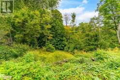 18.4 ACRES ADELINE Trail | Haliburton Ontario | Slide Image Seven