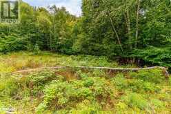 18.4 ACRES ADELINE Trail | Haliburton Ontario | Slide Image Eight