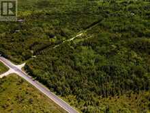 PT LT5 3 | Lion's Head Ontario | Slide Image Five