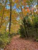 0 HENRY Lake Unit# North Shore | Magnetawan Ontario | Slide Image Forty-seven