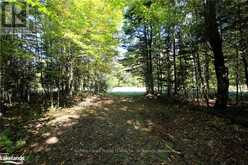 281 LOVERS LANE | Parry Sound Ontario | Slide Image Two