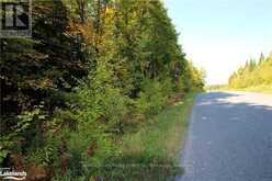 281 LOVERS LANE | Parry Sound Ontario | Slide Image Eight