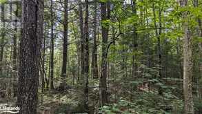 LOT 2 LIMBERLOST Road | Lake of Bays Ontario | Slide Image Twelve