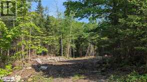 LOT 2 LIMBERLOST Road | Lake of Bays Ontario | Slide Image One