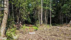 LOT 2 LIMBERLOST Road | Lake of Bays Ontario | Slide Image Four