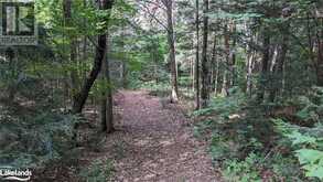 LOT 2 LIMBERLOST Road | Lake of Bays Ontario | Slide Image Six