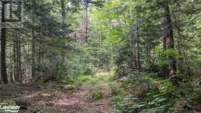 LOT 2 LIMBERLOST Road | Lake of Bays Ontario | Slide Image Eight