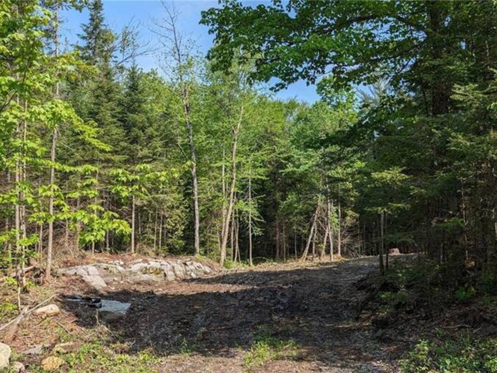 LOT 2 LIMBERLOST Road, Lake of Bays, Ontario P1H 2J6