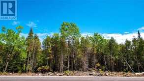 LOT 5 TRILLIUM CROSSING | Northern Bruce Peninsula Ontario | Slide Image Four