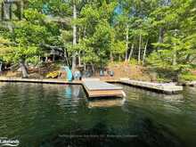 4 SEVERN RIVER SR406 | Muskoka Ontario | Slide Image One