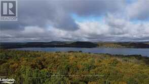 LOT 67 CHELSEA LANE | Algonquin Highlands Ontario | Slide Image Four