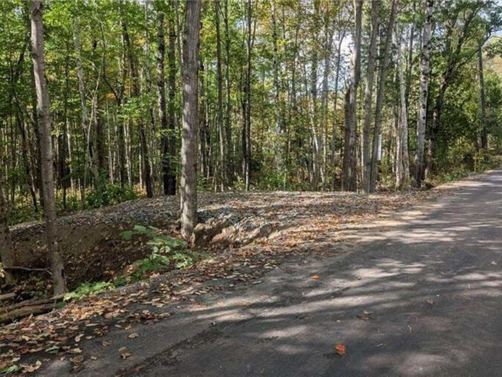 LOT 1 TALLY HO WINTER PARK Road, Lake of Bays, Ontario P1H 2E5