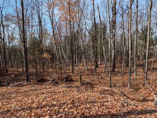 LOT 1 TALLY HO WINTER PARK Road Lake of Bays Ontario, P1H 2E5