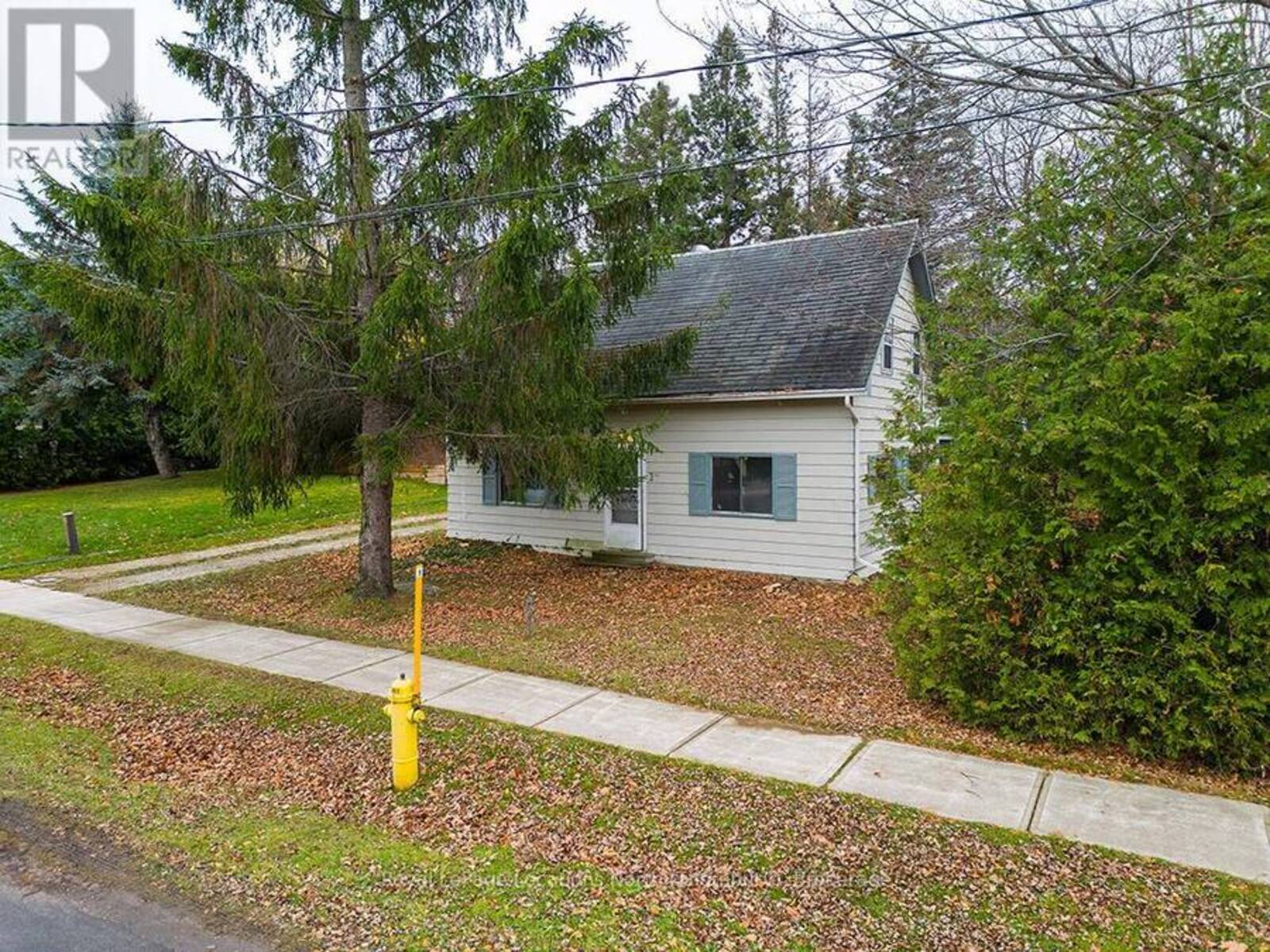 35 KING STREET W, Thornbury, Ontario N0H 2P0