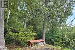 1930 TRAPPERS TRAIL Road | Haliburton Ontario | Slide Image Forty-one