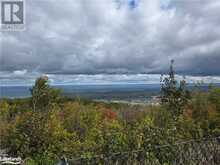 595863 FORTH Line | The Blue Mountains Ontario | Slide Image Thirty-one