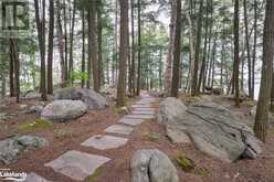 0 M (MOSSY ROCK) Island | Port Carling Ontario | Slide Image Twenty-seven