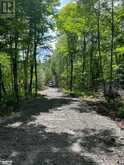 0-2 JACKS LAKE | Parry Sound Ontario | Slide Image Four