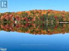 0-3 JACKS LAKE | Parry Sound Ontario | Slide Image Ten